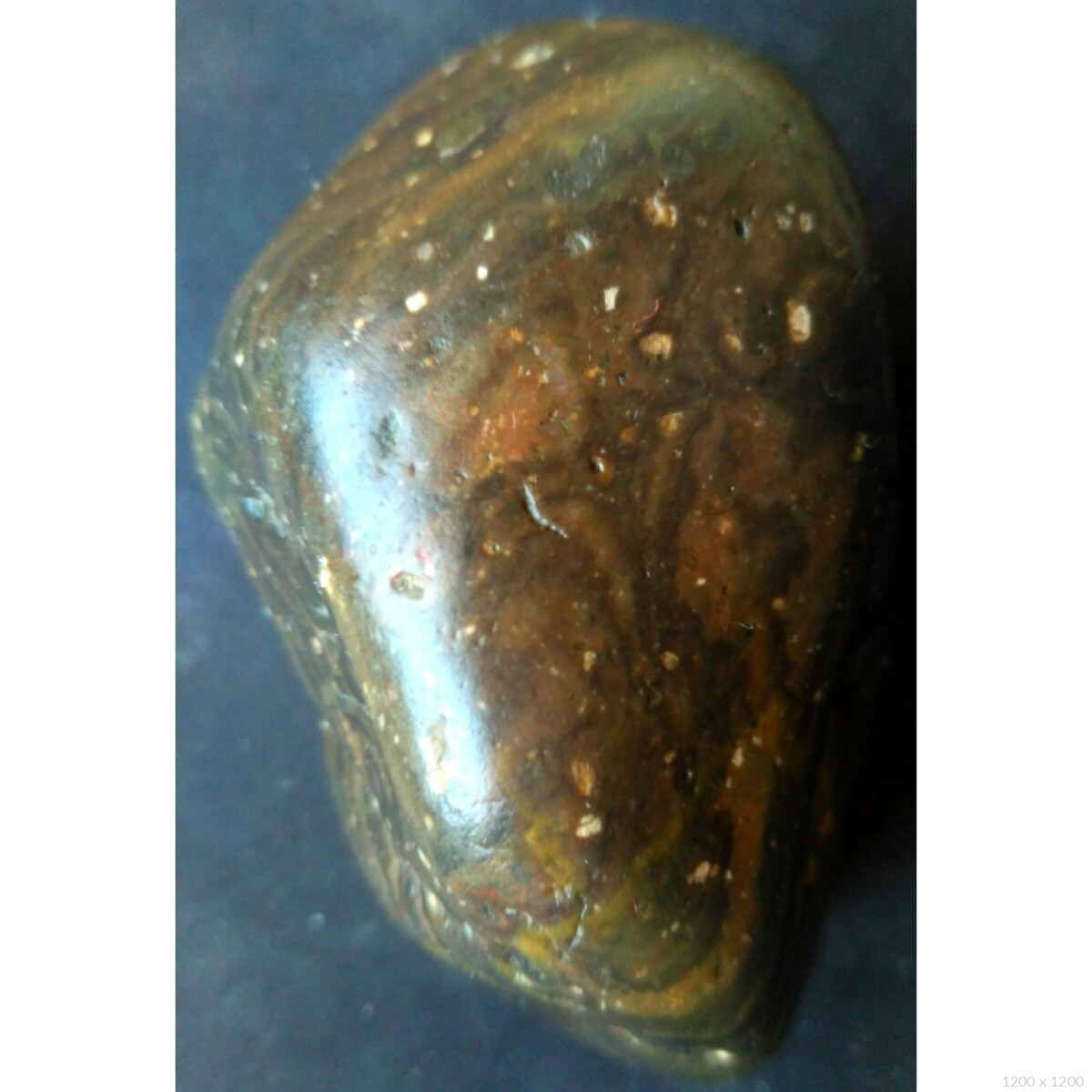 渭河金丝楠石