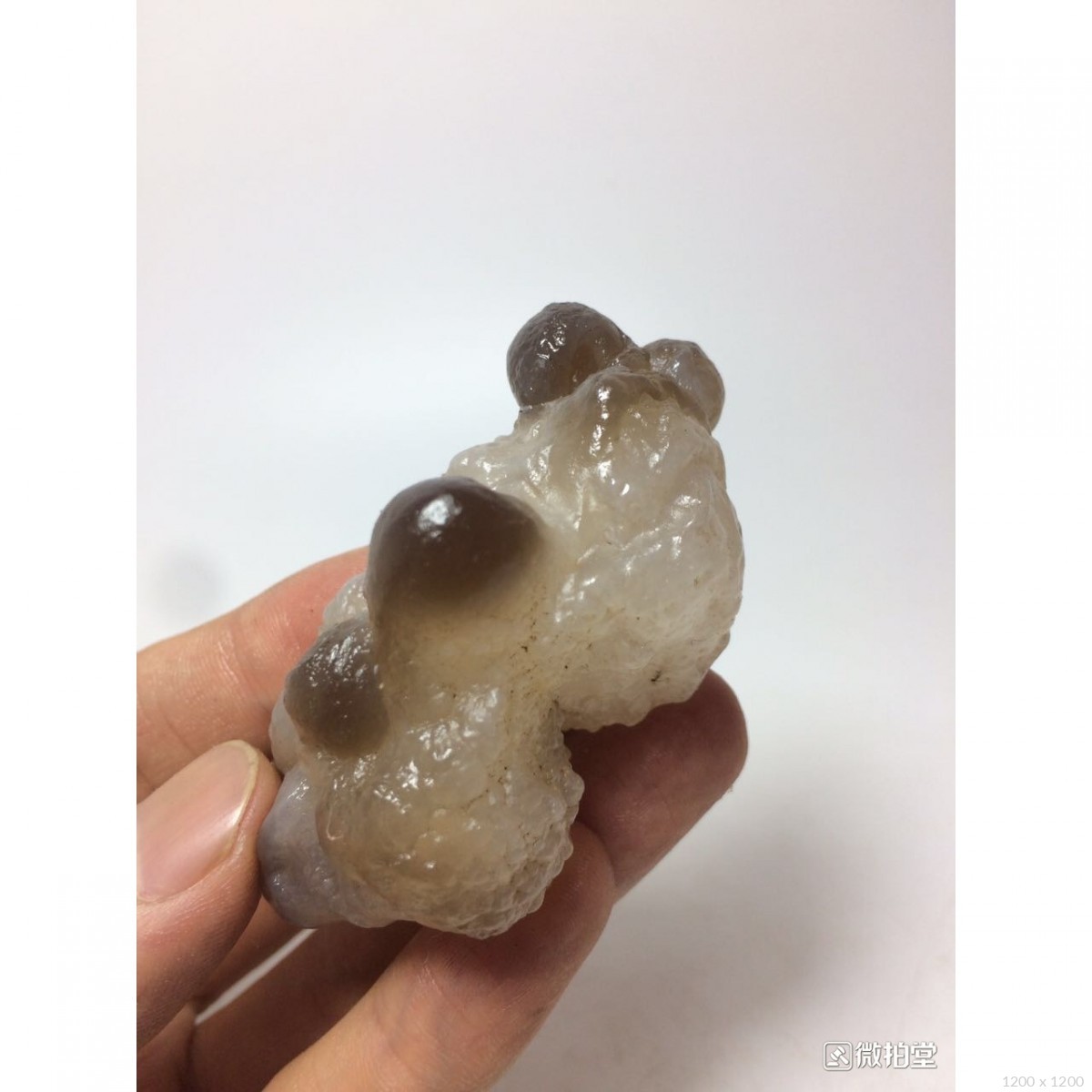 埃及熊猫玛瑙