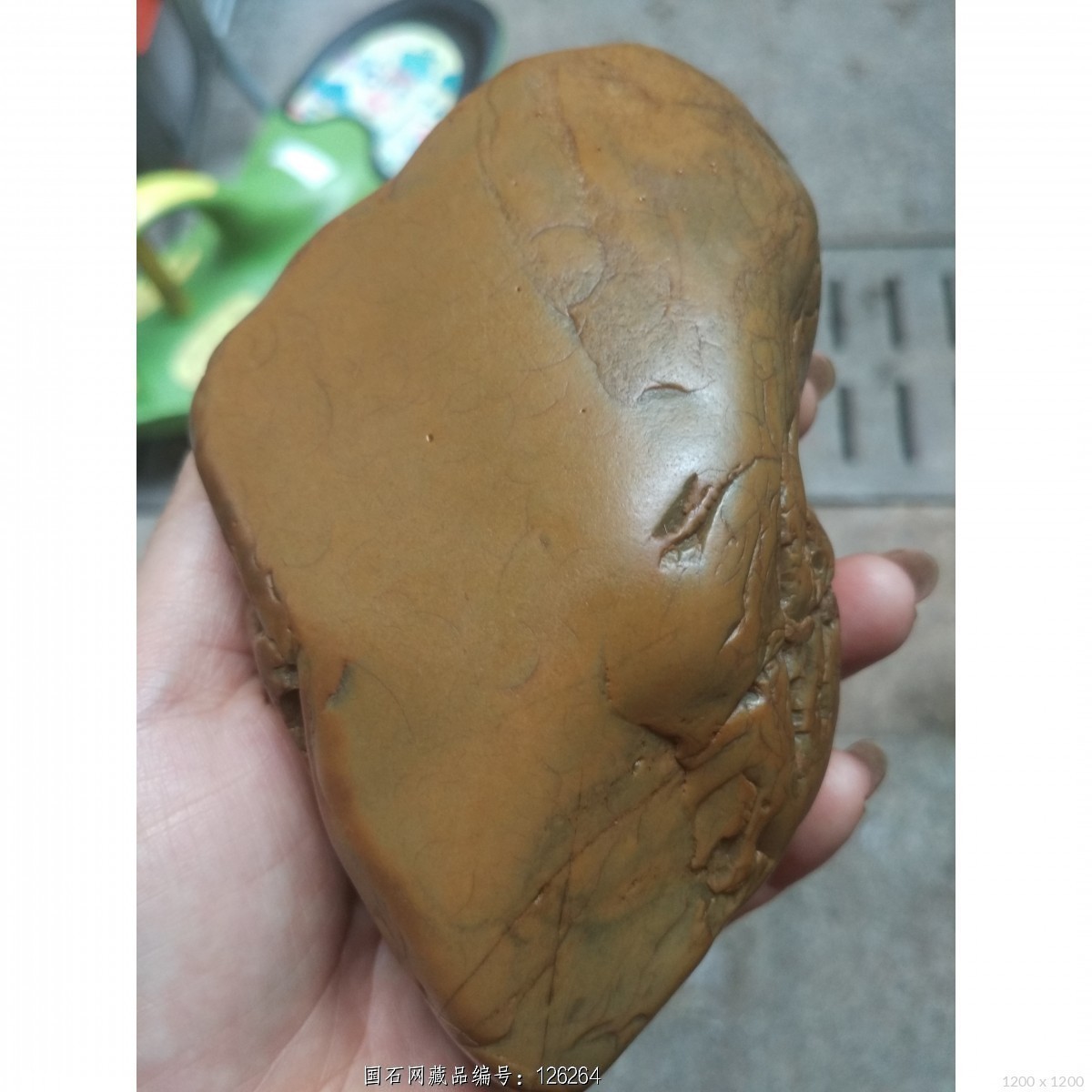 (特价)青皮细腊(673克籽料) - 石馆 - 国石网
