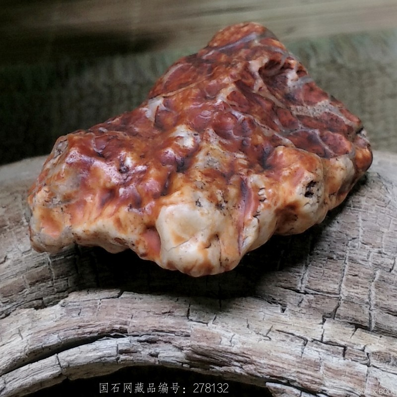 外蒙沙漠漆筋脉石