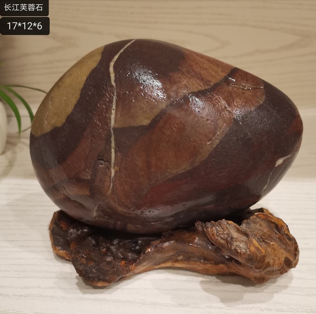 长江芙蓉石