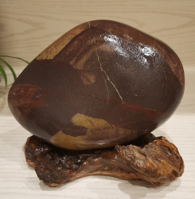 长江芙蓉石