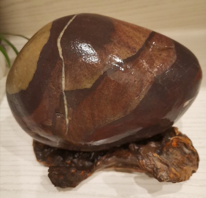 长江芙蓉石