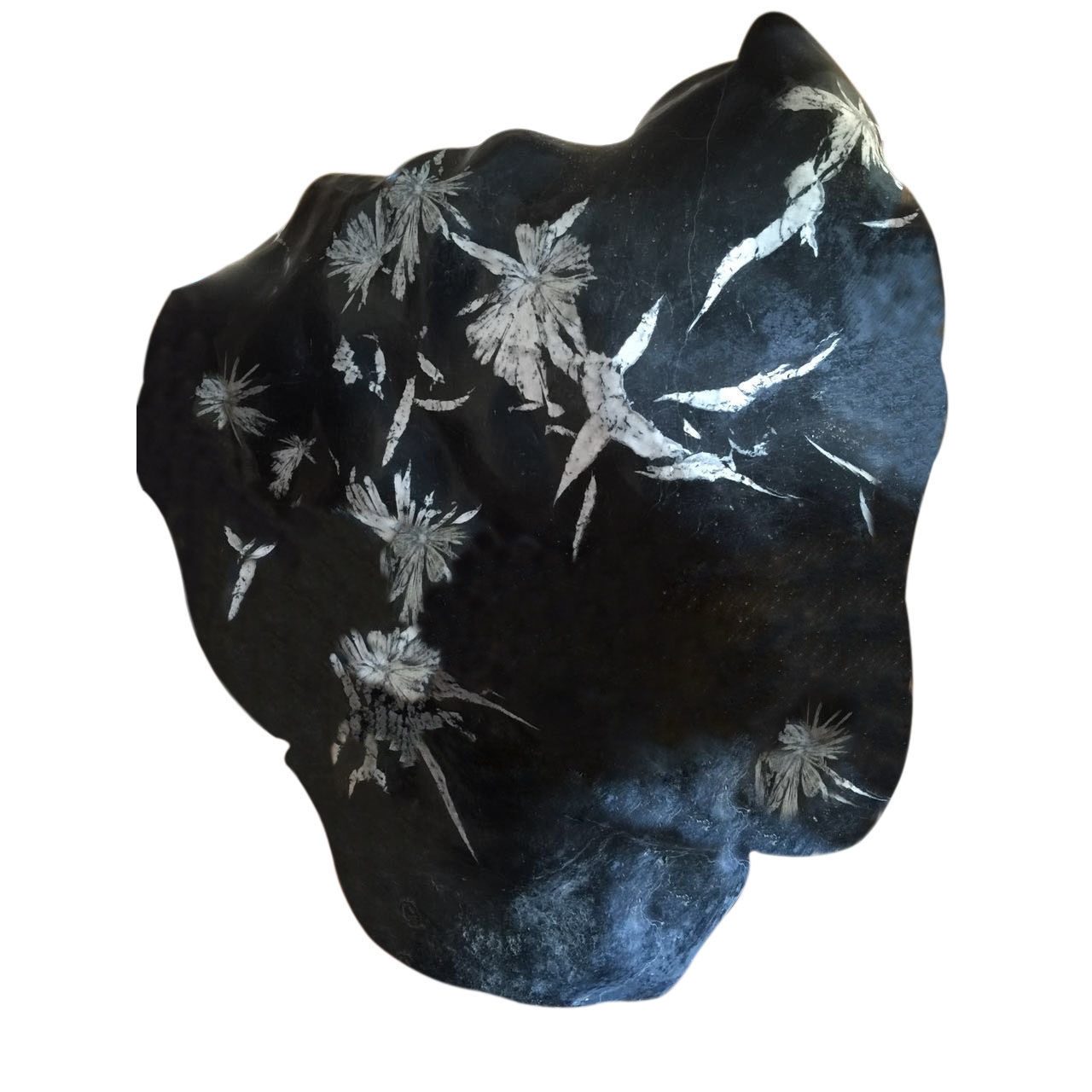 大型立体菊花石极品2面图：白鹭翩跹、海鸥夜巡