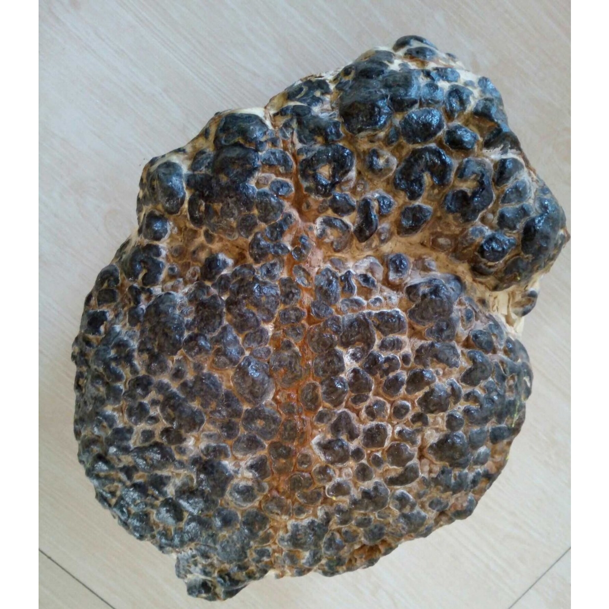 星落河汉龙鳞石