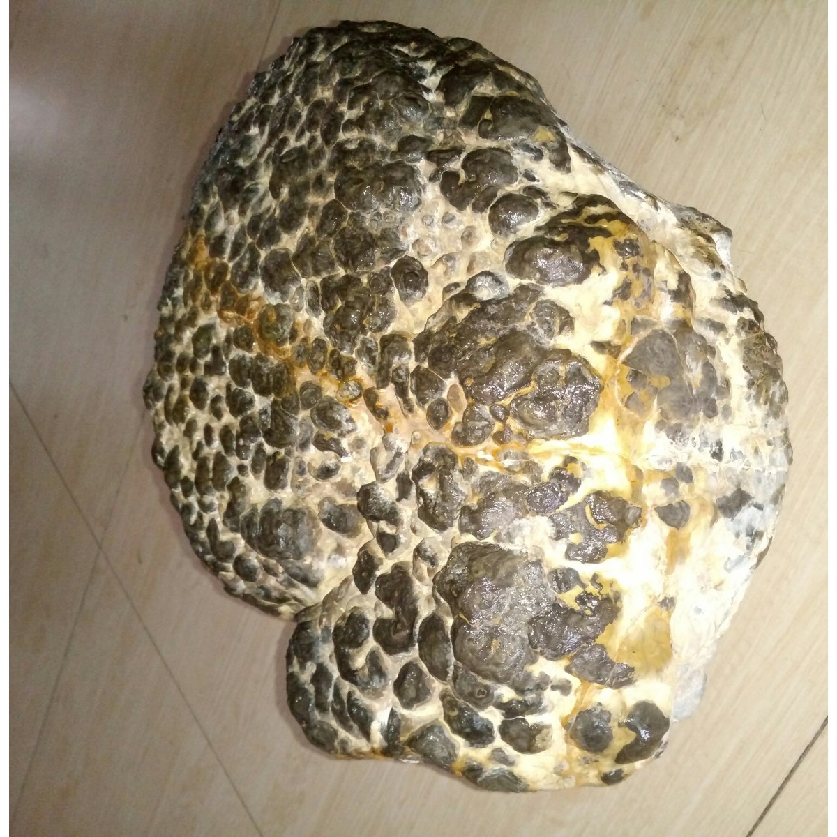 星落河汉龙鳞石