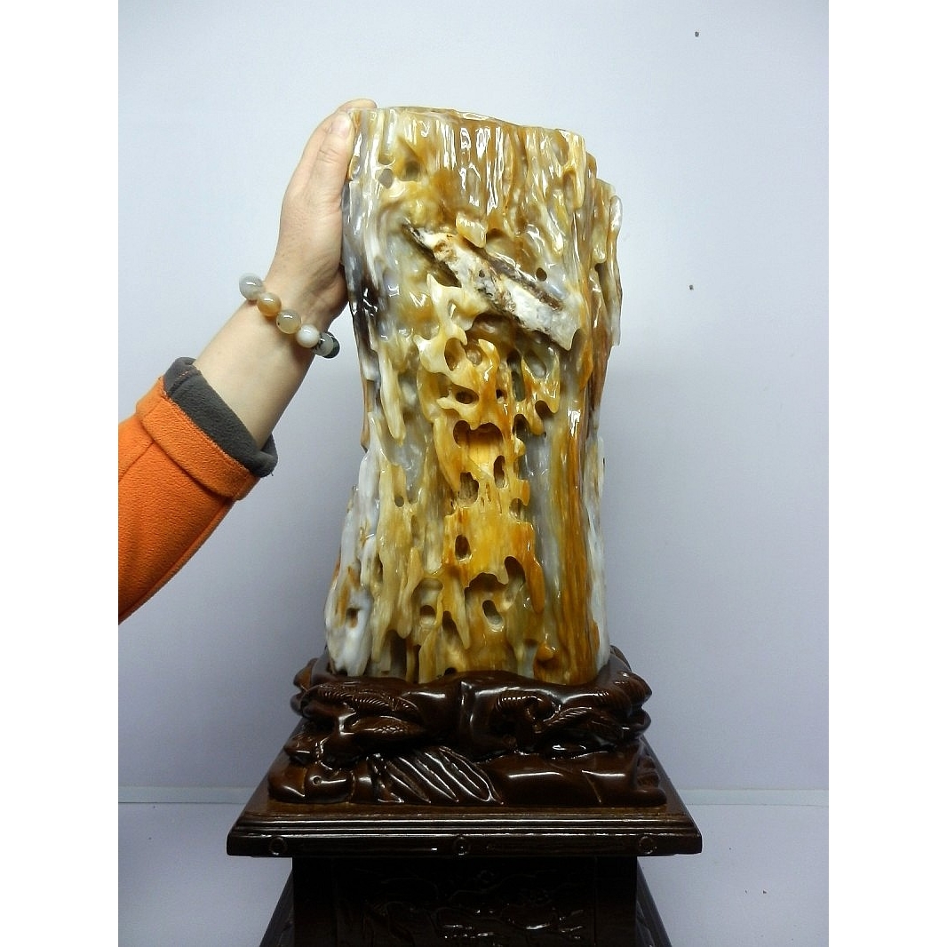 亿年虫化石缅甸树化玉原石摆件收藏品硅化木极品