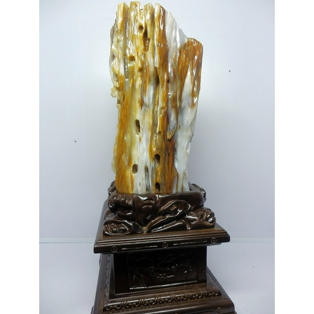 亿年虫化石缅甸树化玉原石摆件收藏品硅化木极品