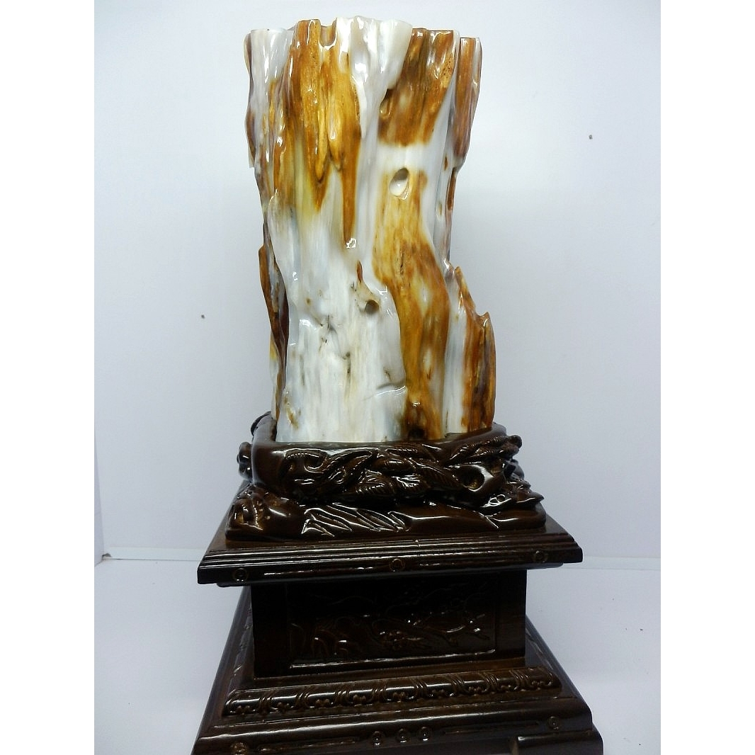 亿年虫化石缅甸树化玉原石摆件收藏品硅化木极品