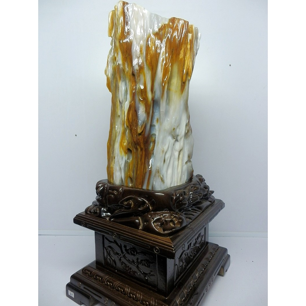 亿年虫化石缅甸树化玉原石摆件收藏品硅化木极品