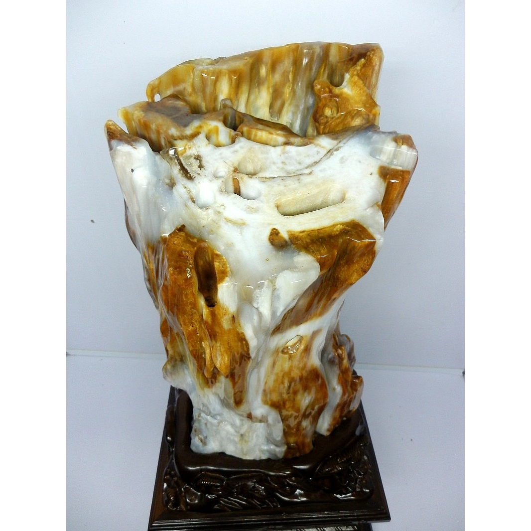 亿年虫化石缅甸树化玉原石摆件收藏品硅化木极品