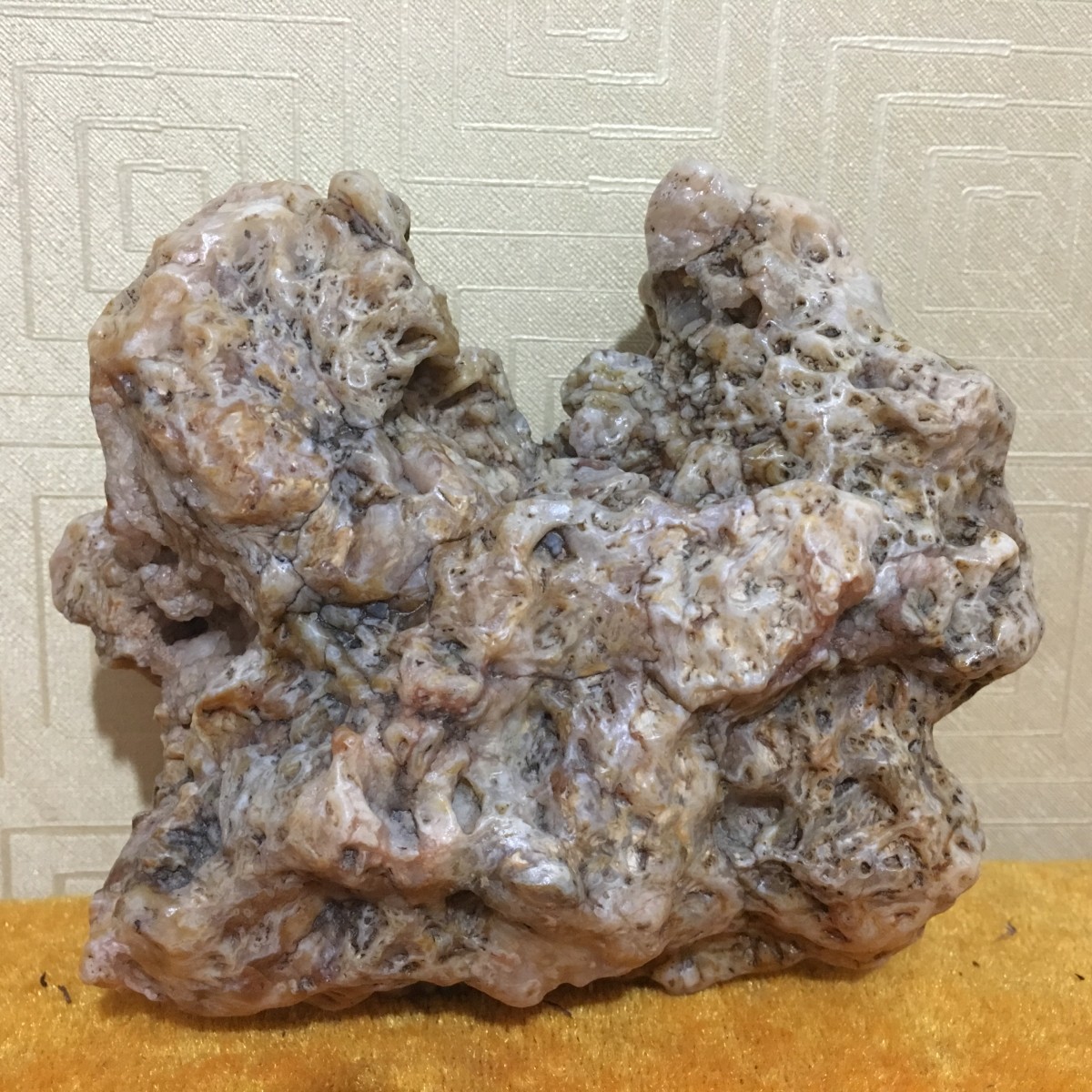 阿拉善鸡骨沙漠漆