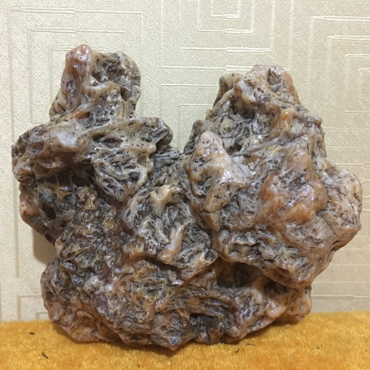 阿拉善鸡骨沙漠漆