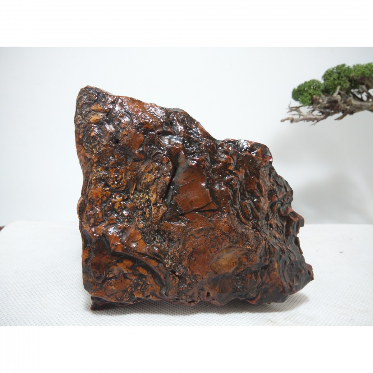 阿拉善戈壁石富贵红