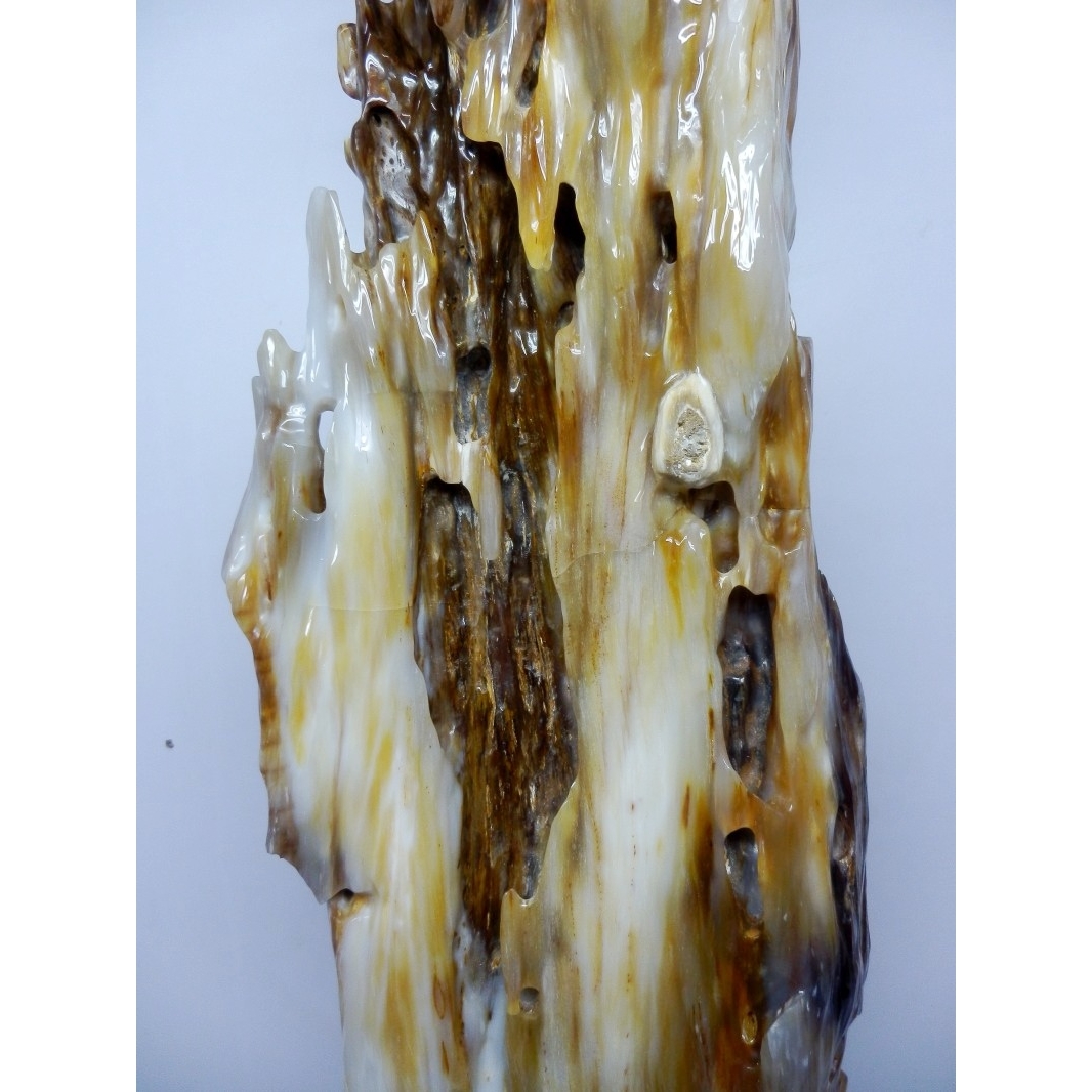 誉恒轩树化玉带树结收藏品木化玉极品镇宅奇石风水玉石特价