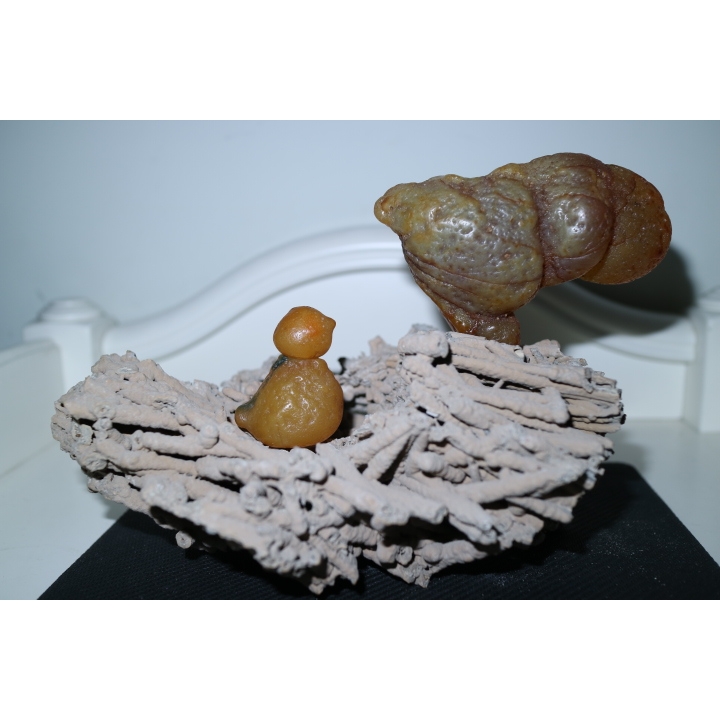 《大吉大利》象形公鸡玛瑙原石天然小鸟奇石摆件组合阿拉善戈壁
