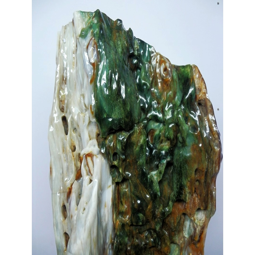 底价缅甸树化玉精品摆件绿料木化玉天然观赏石亿万年树化石