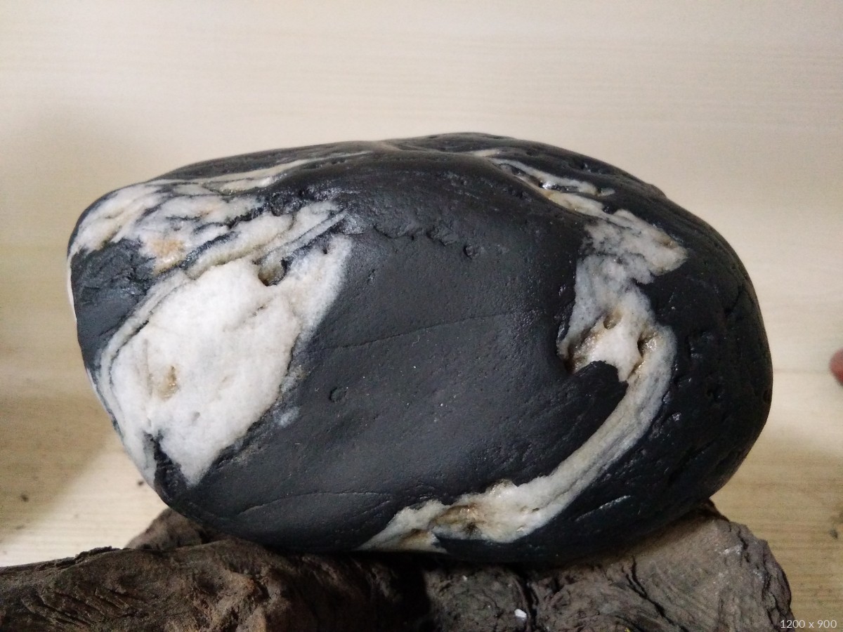 黑色石头 库存照片. 图片 包括有 生气勃勃, 岩石, 形状, 下落, 分散, 小滴, 地质, 露水, 自然 - 5553716