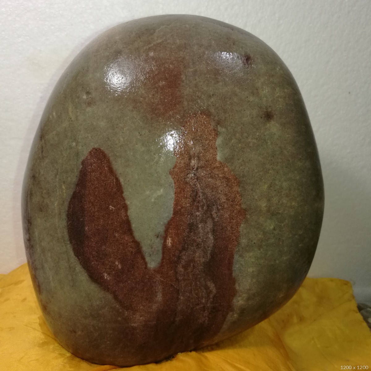 石馆 玉华石轩  《甩》龙抬头藏品名称:《甩》龙抬头 石种:长江石