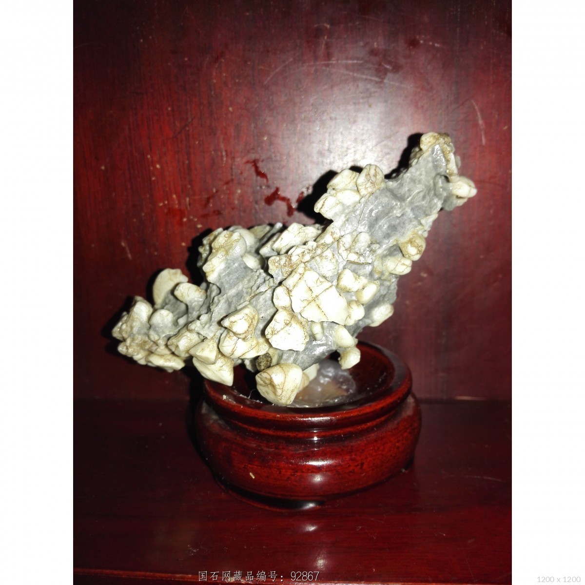 戈壁米粒石:忠犬 石馆 国石网