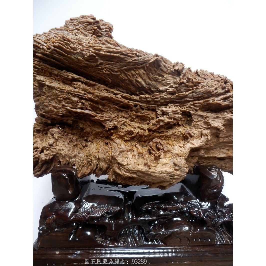 亿万年树木化石 树化玉摆件 天然原石 硅化木奇石收藏 木化石特价 - 石馆 - 国石网
