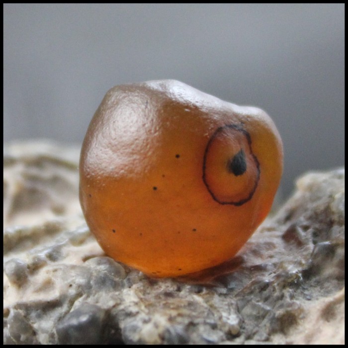 文玩石头戈奇壁石阿拉善玛瑙象形石造型石把玩石开片