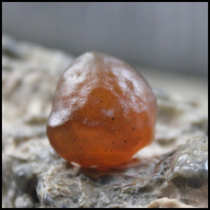 文玩石头戈奇壁石阿拉善玛瑙象形石造型石把玩石开片