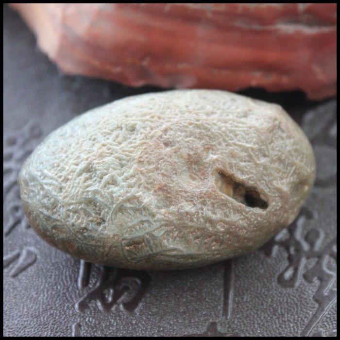 文玩 石头 戈奇壁石 阿拉善玛瑙 象形石 把玩石 经脉石 筋脉石