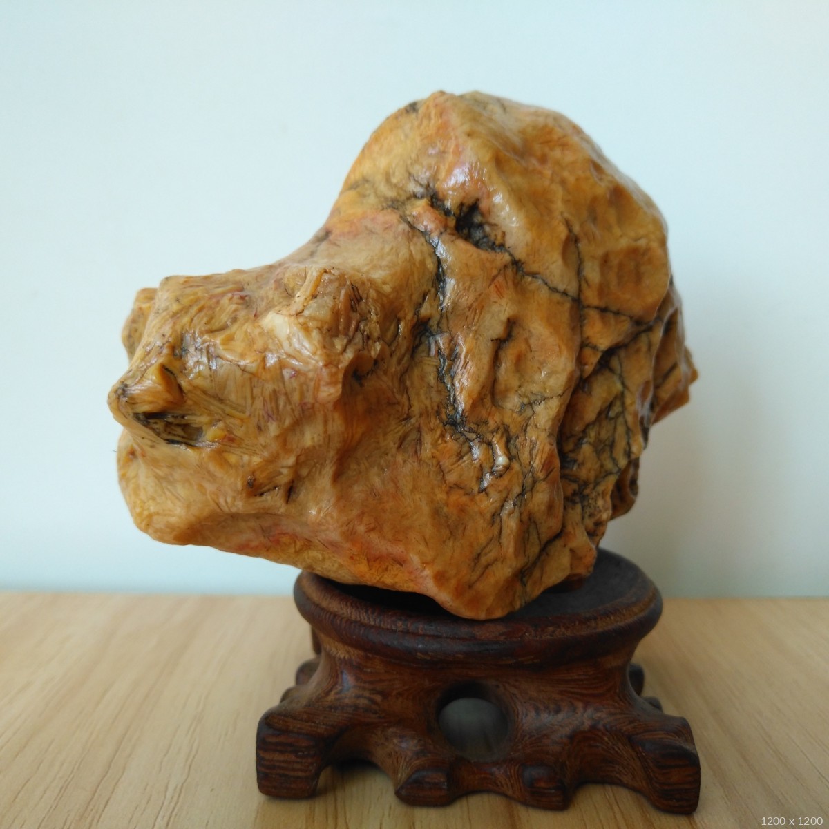 沙漠漆(176)一口价