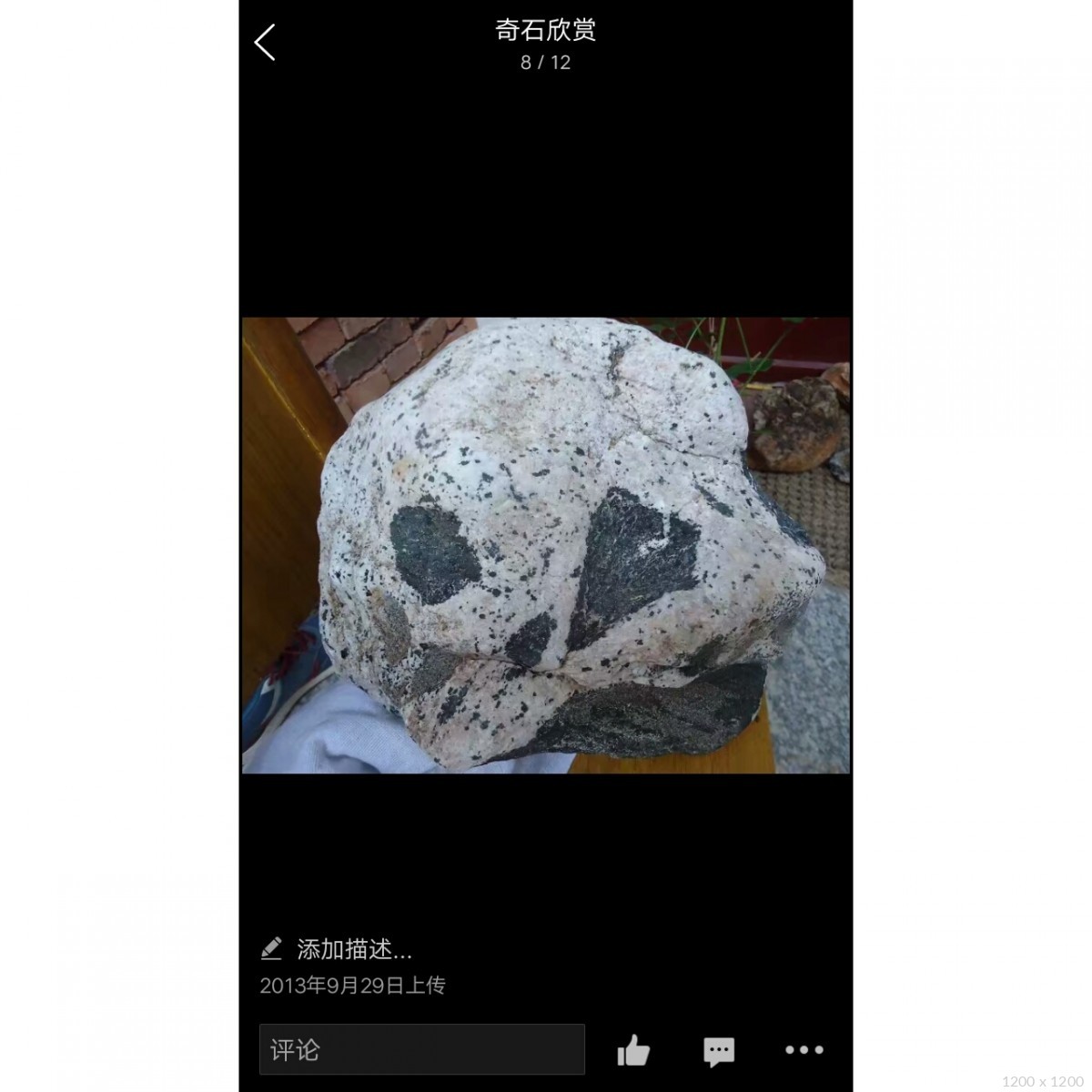 动物石雕 熊猫_动物石雕 熊猫石雕雕塑图片_动物石雕 熊猫图片-中国石材网