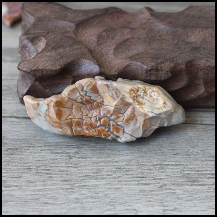 阿拉善奇石 戈壁玛瑙 造型石 观赏石 象形石 彩石 彩玉 开片 牙石