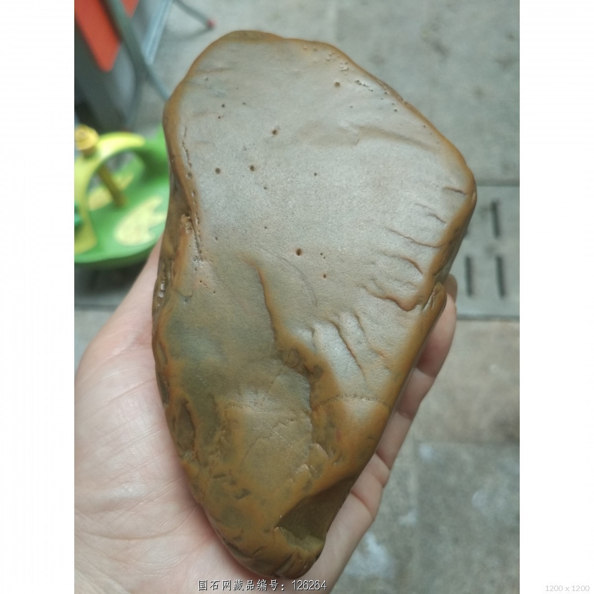 (特价)青皮细腊(673克籽料)