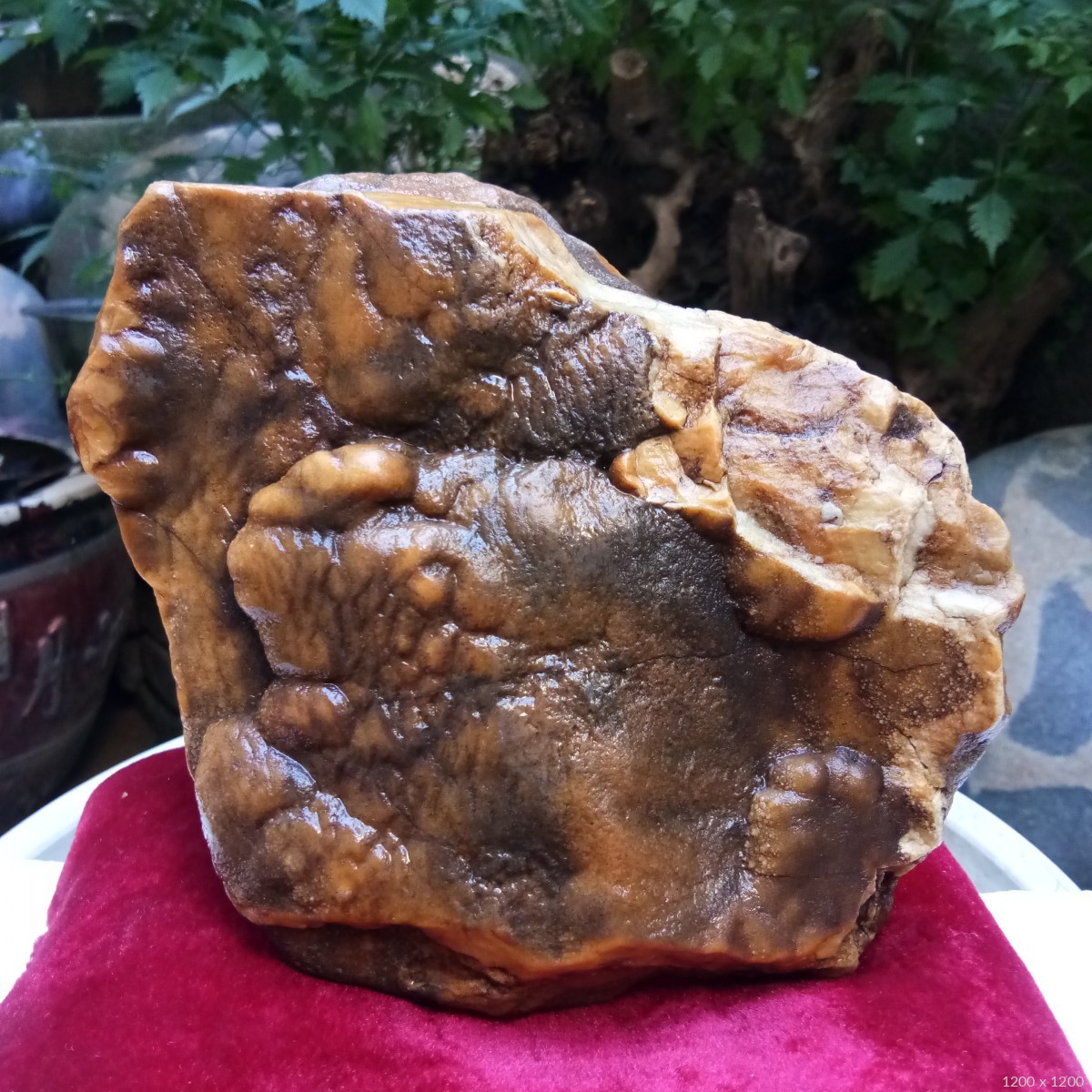 老皮黄腊石水冲奇石