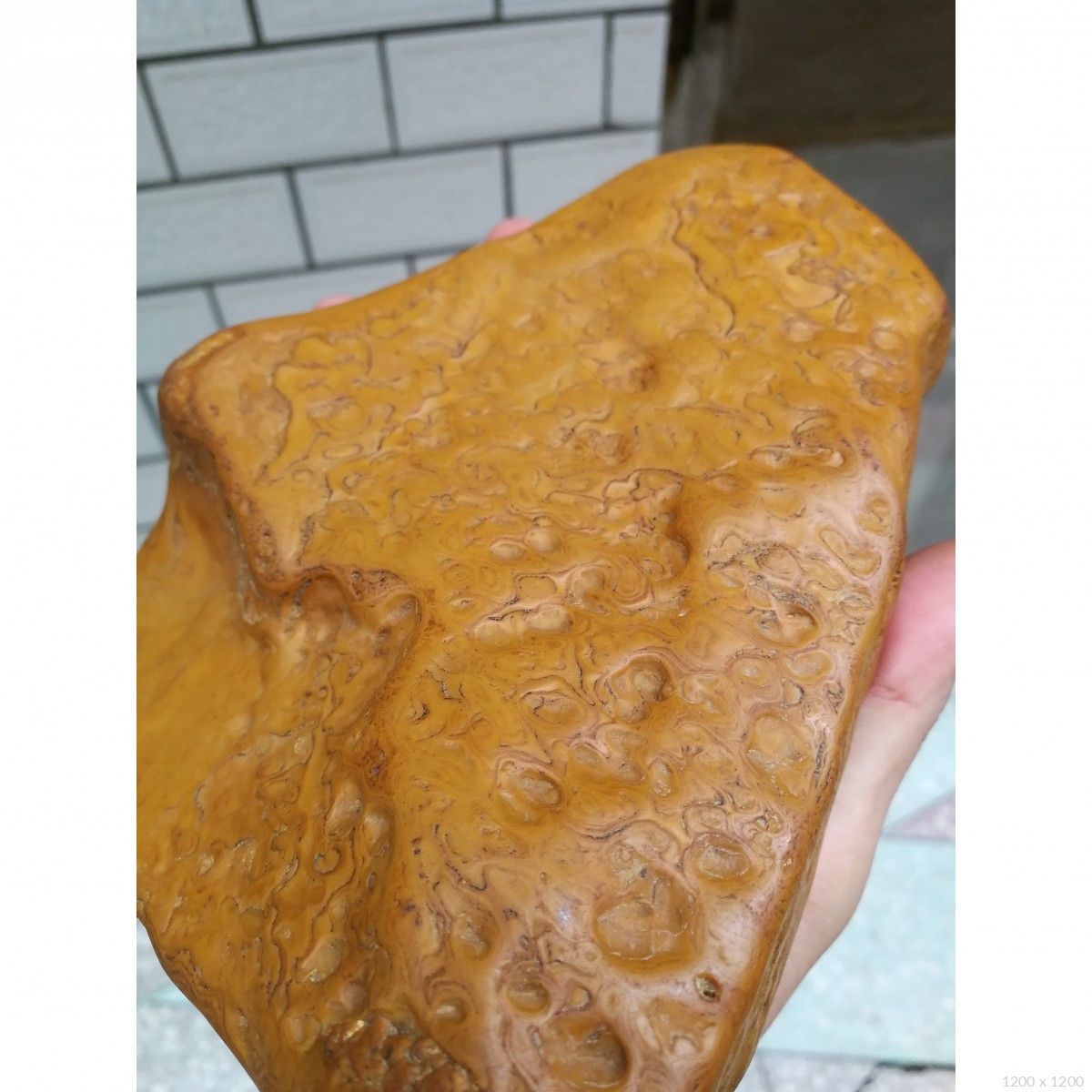 冻石 双面纹路藏品名称:钢琴    冻石  双面纹路 石种:黄蜡石 产地