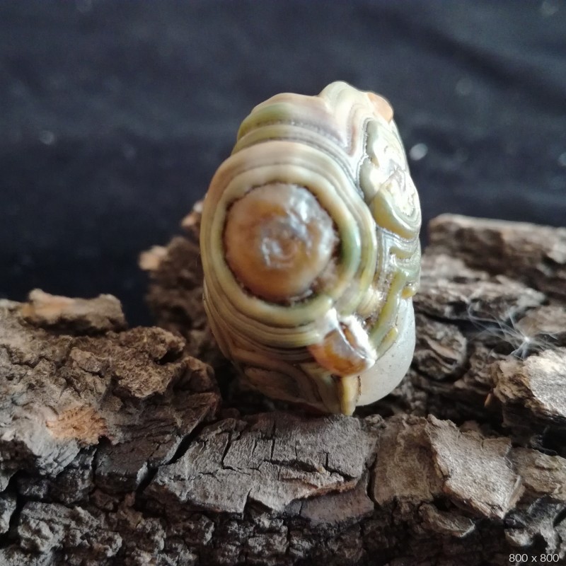 外蒙地表眼睛石