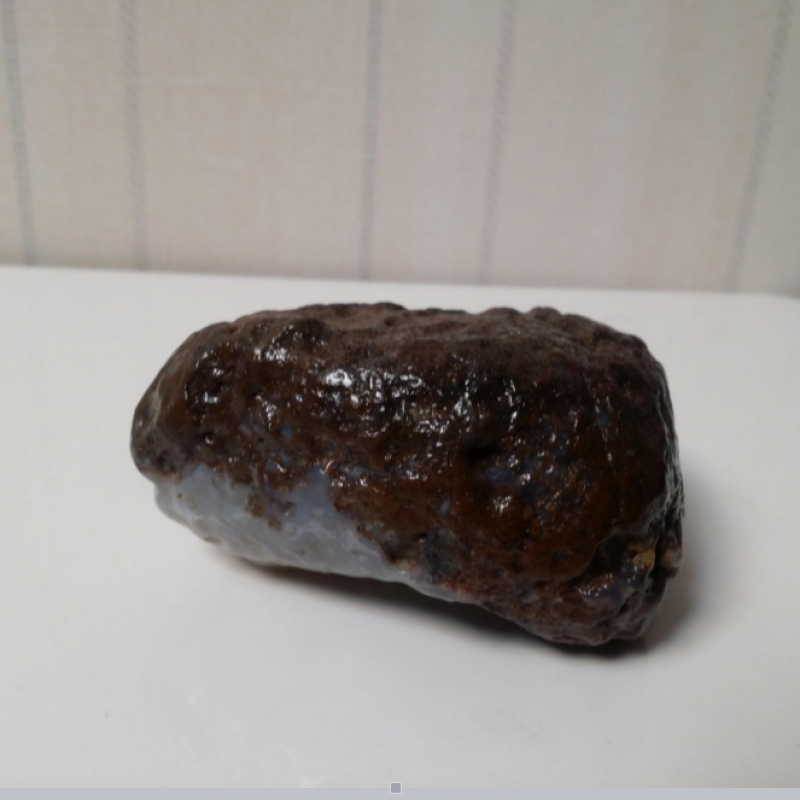 阿拉善戈壁共生石