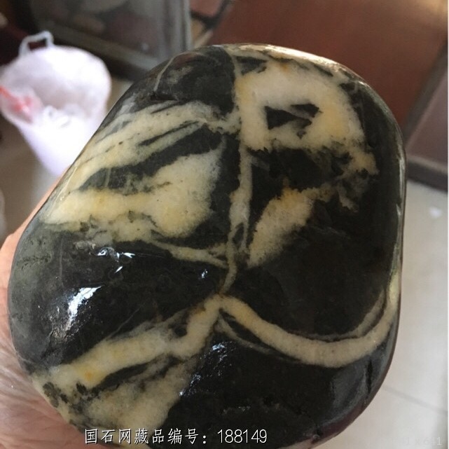 白玫瑰