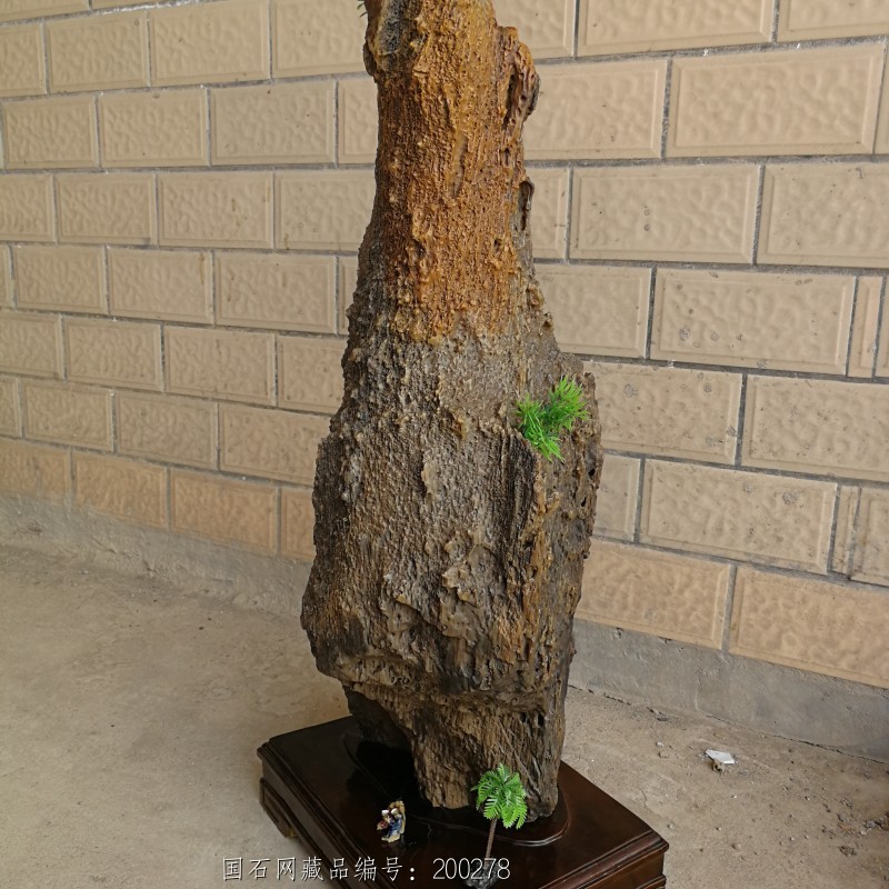 776斤独秀峰精品树化玉硅化木配送香樟木底座