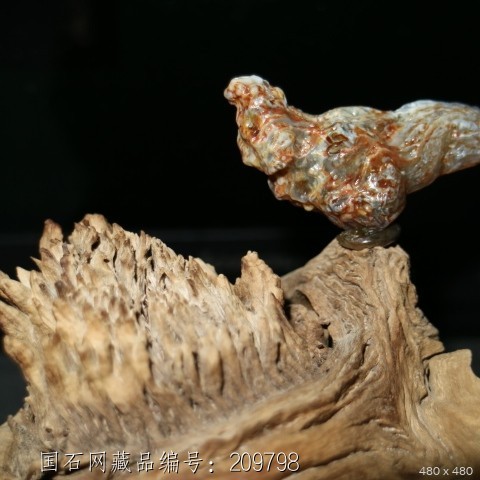 《彩凤》象形筋脉玛瑙原石天然小鸟奇石摆件组合阿拉善戈壁
