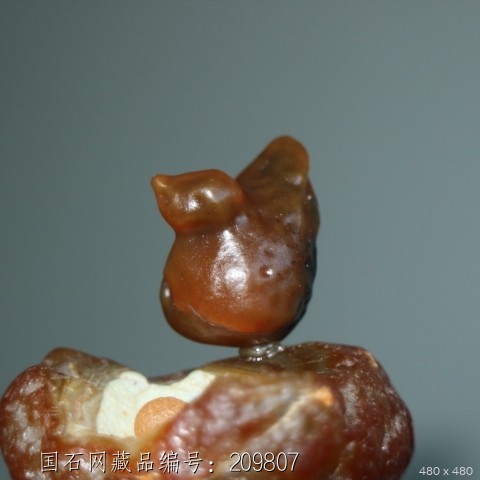 《翘首》象形小鸟玛瑙原石天然奇石摆件阿拉善戈壁