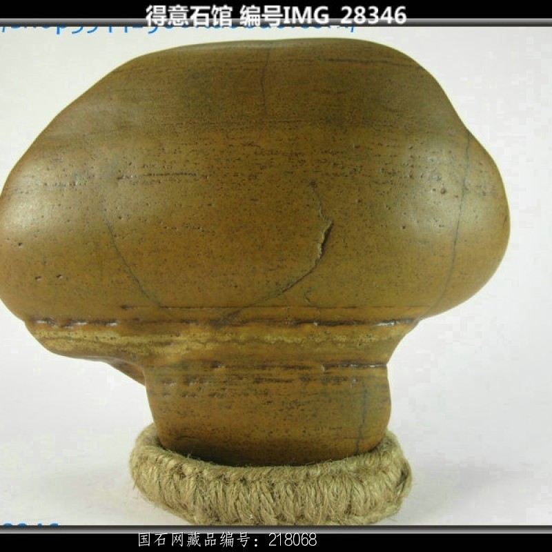 蘑菇 28346 大湾石 200 净石尺寸(CM) 13 - 11 - 4