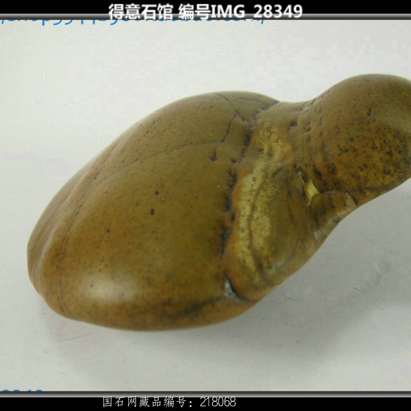 蘑菇 28346 大湾石 200 净石尺寸(CM) 13 - 11 - 4
