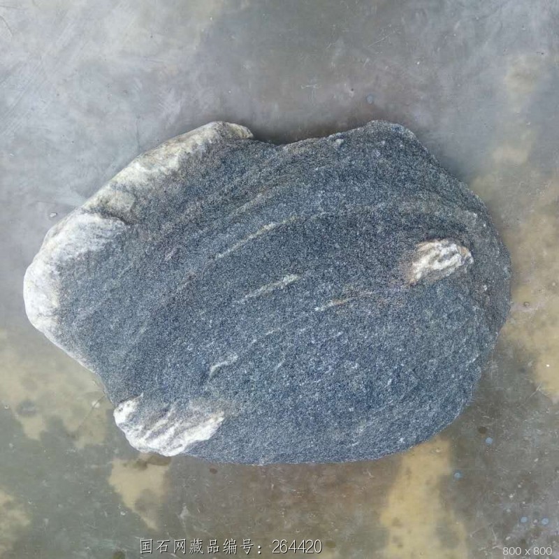 贝壳石