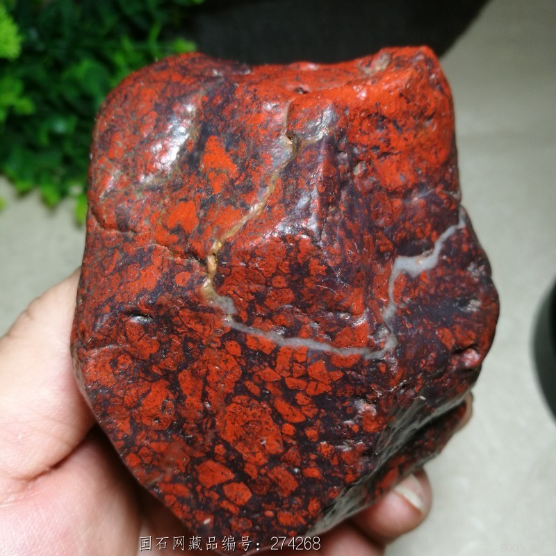 红伊丁又称鸡血石