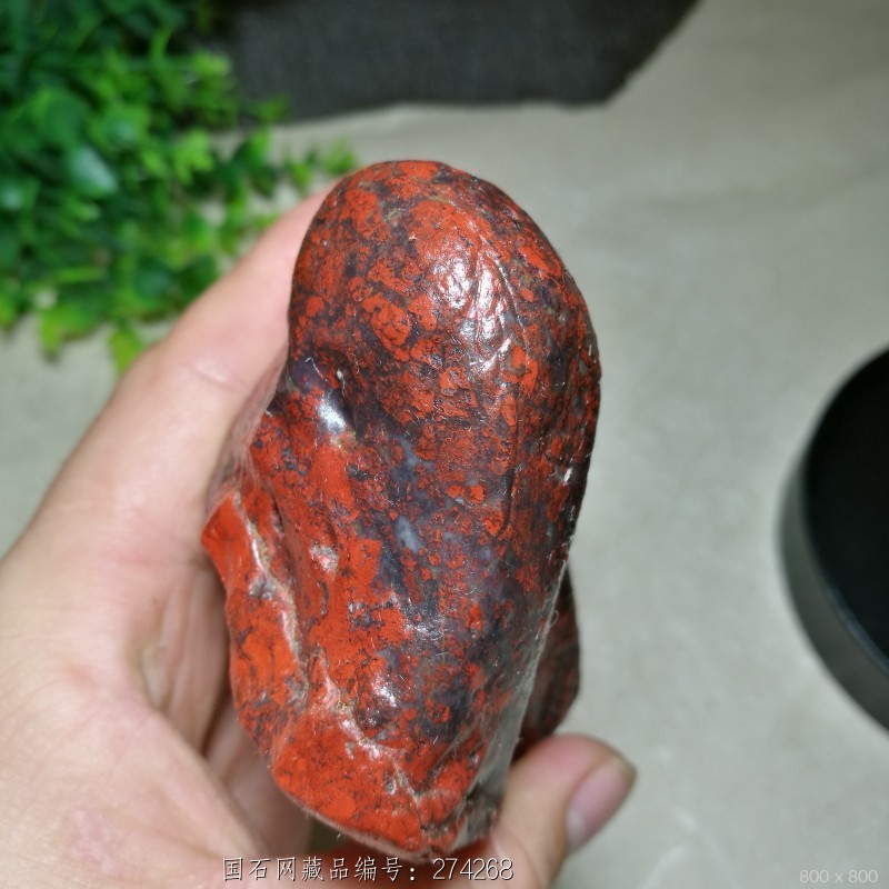 红伊丁又称鸡血石