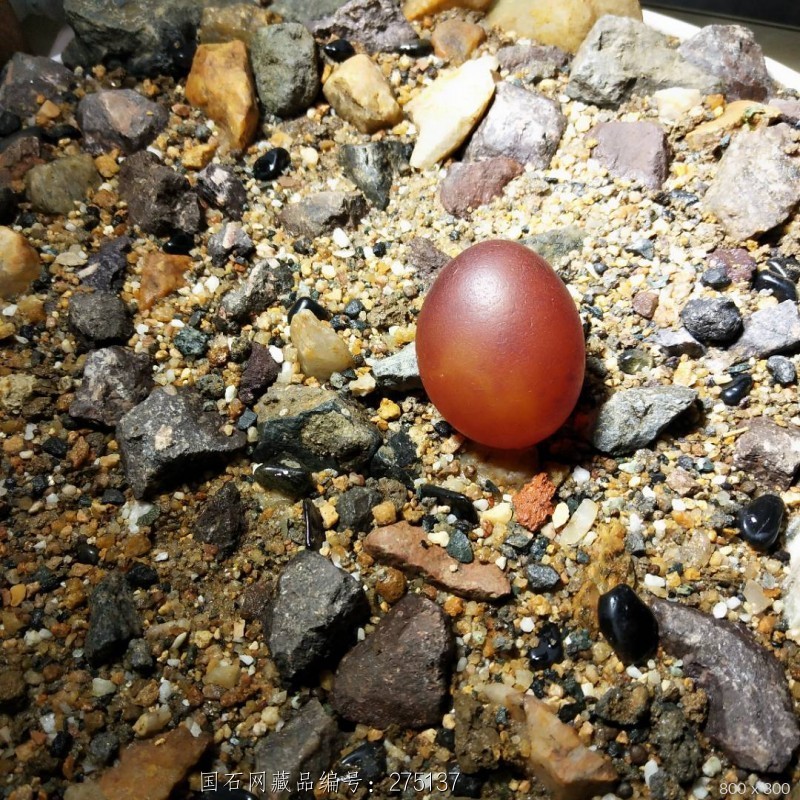 玛瑙小鸡蛋 - 石馆 - 国石网