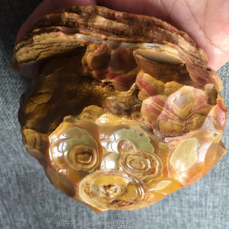 马达加斯加钱币石