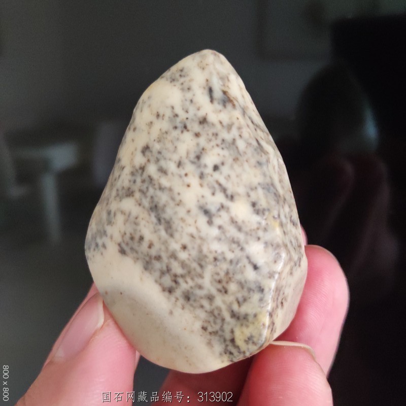 运费:免运费藏品意蕴:芝麻点白泥石 哈密南湖戈壁泥石,原石原型,质地