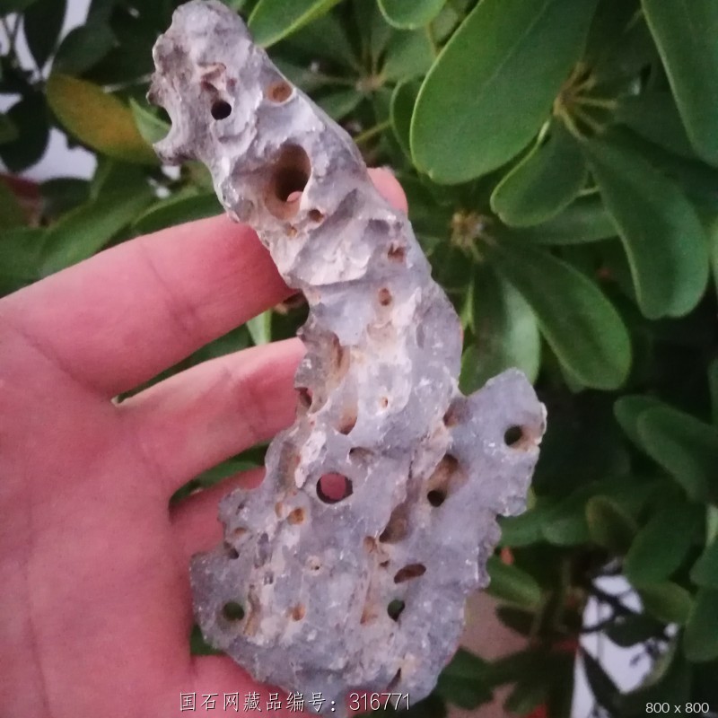 天然奇石青州小玲珑石