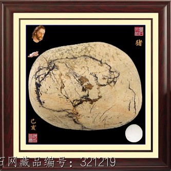 猪 石馆 国石网